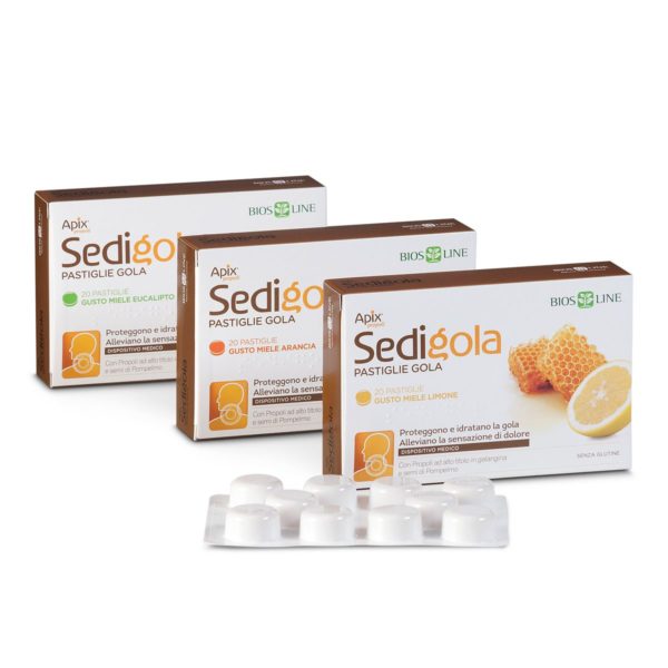 gruppo-sedigola-600×600-2